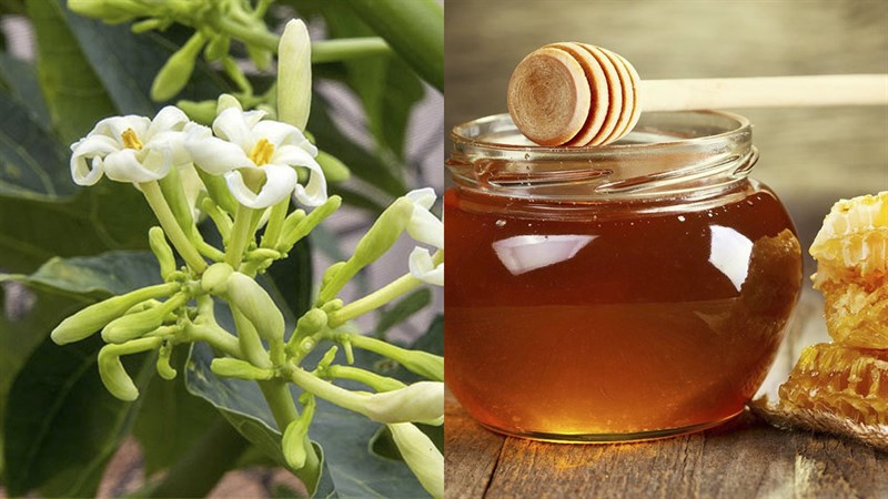 Chào mào uống mật ong có tác dụng gì?